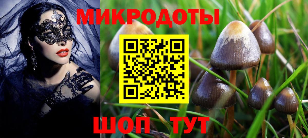 цена   Галлюциногенные грибы прущие грибы  Псилоцибиновые грибы GOLDEN TEACHER  Вход с VPN  Зеленодольск 